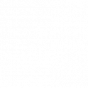 FINE - logo